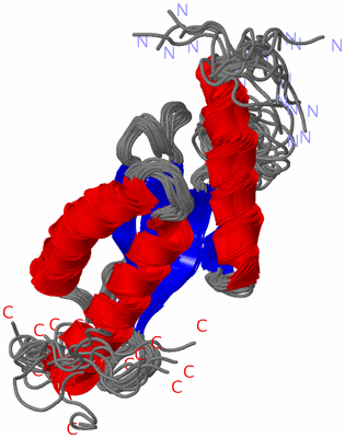 Image NMR Structure - all models