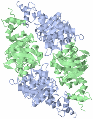 Image Biological Unit 2