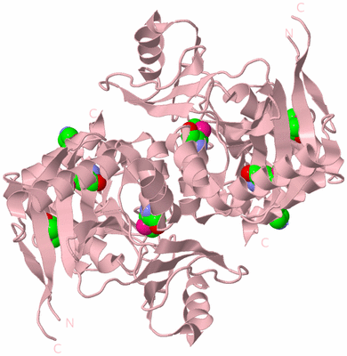 Image Biological Unit 2