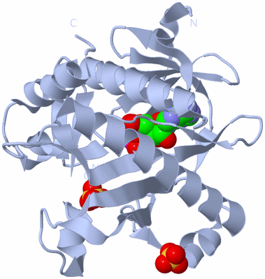 Image Biological Unit 1