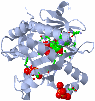 Image Biol. Unit 1 - sites