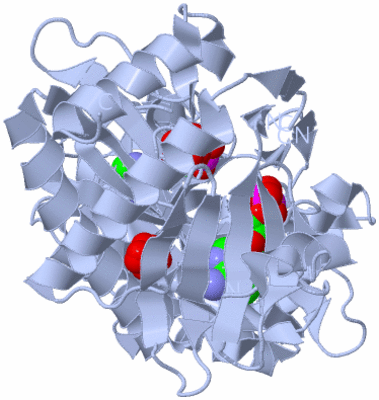 Image Biological Unit 2