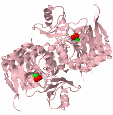 Image Biological Unit 2