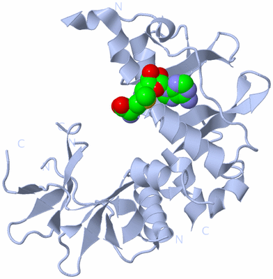 Image Biological Unit 1