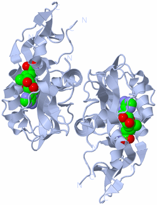 Image Biological Unit 2