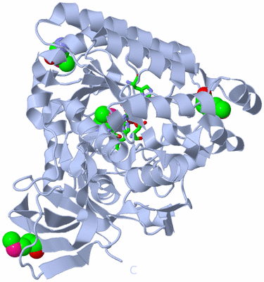 Image Biol. Unit 1 - sites