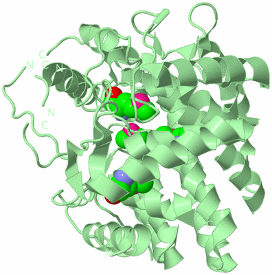 Image Biological Unit 2