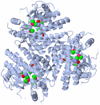 Image Biological Unit 3