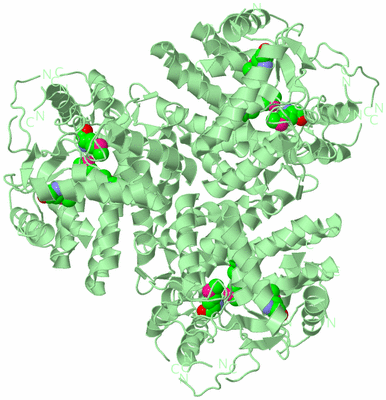 Image Biological Unit 4