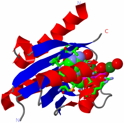 Image Asym. Unit - sites