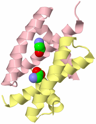 Image Biological Unit 2