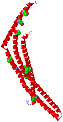 Image Asymmetric Unit