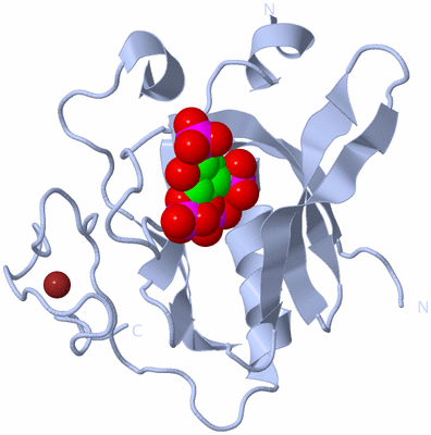 Image Biological Unit 1