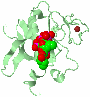 Image Biological Unit 2