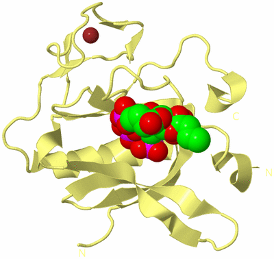 Image Biological Unit 4