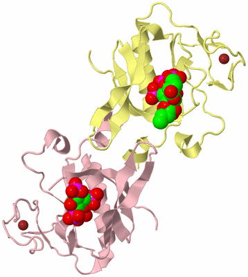 Image Biological Unit 6