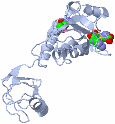 Image Biological Unit 1