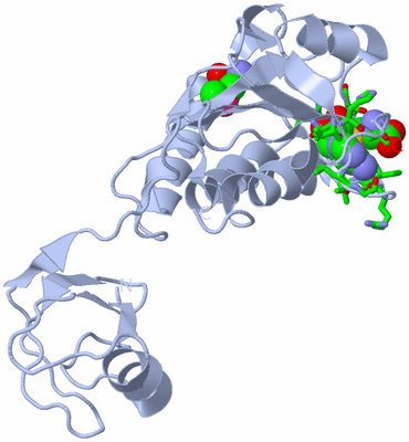 Image Biol. Unit 1 - sites