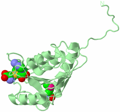 Image Biological Unit 2