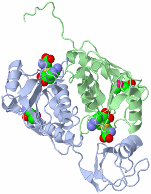 Image Biological Unit 3