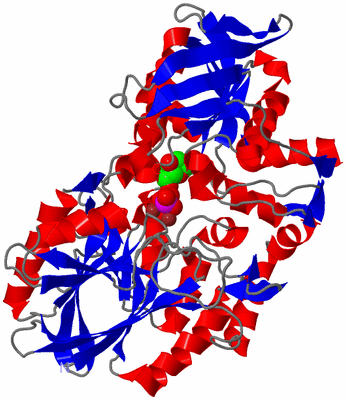 Image Asym./Biol. Unit