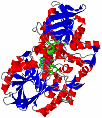 Image Asym./Biol. Unit - sites