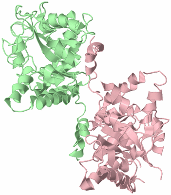 Image Biological Unit 2