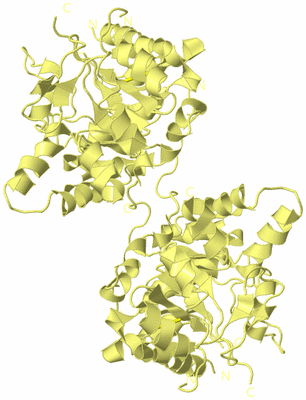 Image Biological Unit 3