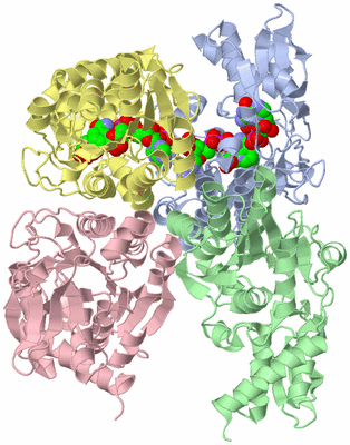 Image Asym./Biol. Unit