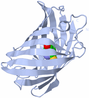 Image Biological Unit 1