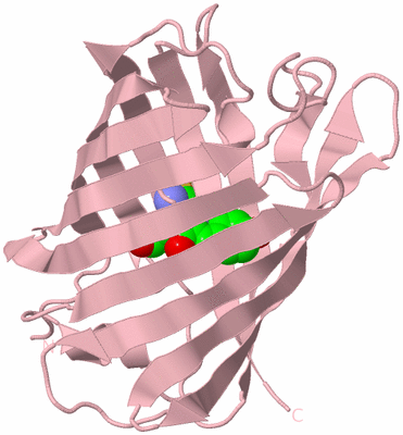 Image Biological Unit 3