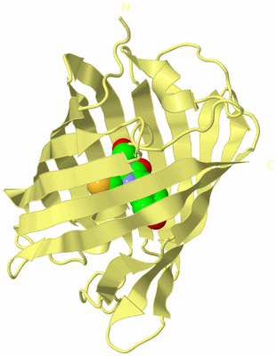 Image Biological Unit 4