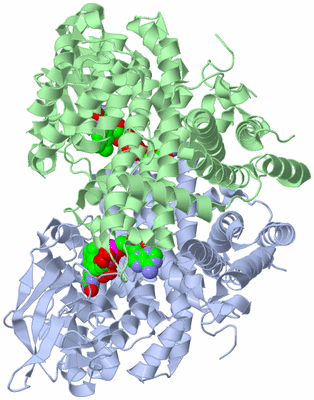 Image Asym./Biol. Unit