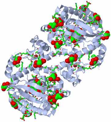 Image Biol. Unit 1 - sites