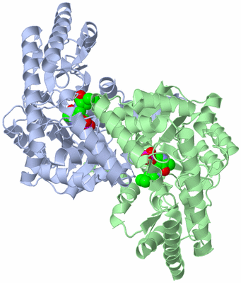 Image Asym./Biol. Unit