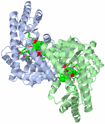 Image Asym./Biol. Unit - sites