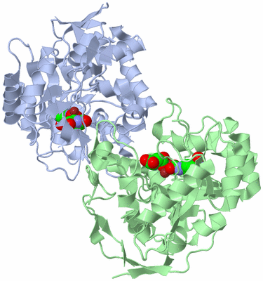 Image Asym./Biol. Unit