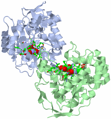 Image Asym./Biol. Unit - sites