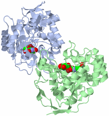 Image Asym./Biol. Unit