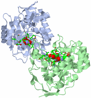 Image Asym./Biol. Unit - sites