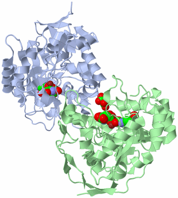 Image Asym./Biol. Unit