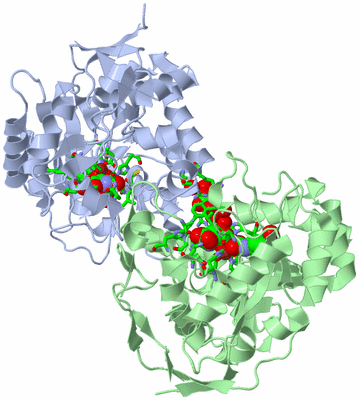 Image Asym./Biol. Unit - sites