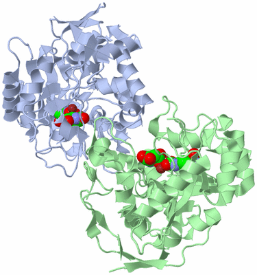 Image Asym./Biol. Unit