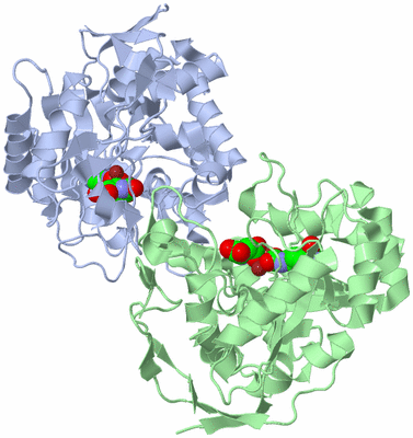 Image Asym./Biol. Unit