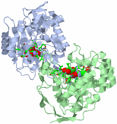 Image Asym./Biol. Unit - sites