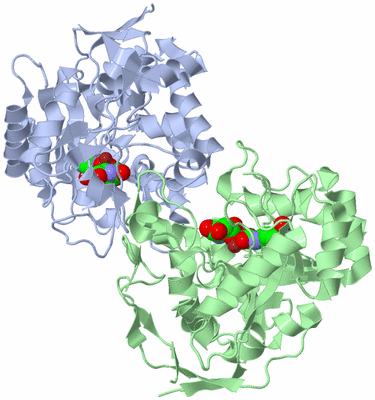 Image Asym./Biol. Unit