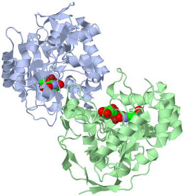 Image Asym./Biol. Unit