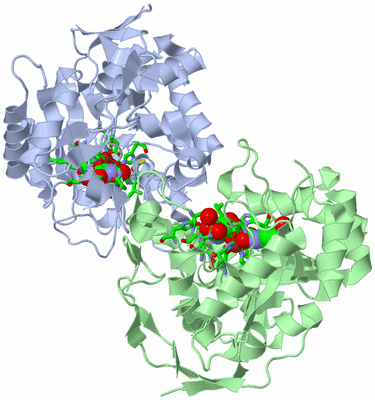 Image Asym./Biol. Unit - sites