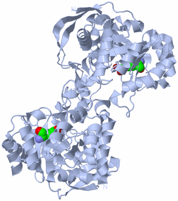 Image Biological Unit 1