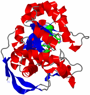 Image Asym. Unit - sites